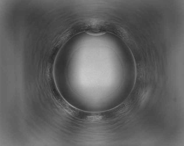 X0000051920266200507011607