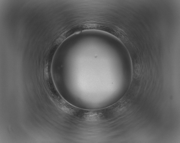X0000051920267200507011607