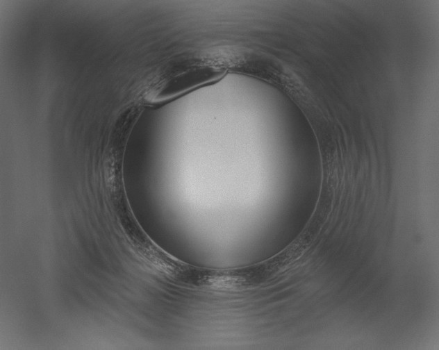 X0000051920268200507011607