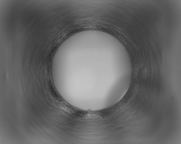 X0000051920270200507011607