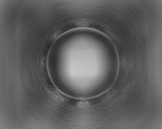 X0000051920271200507011607