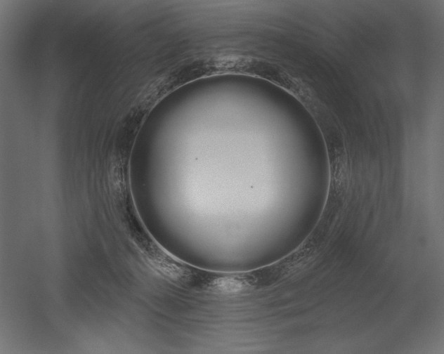 X0000051920272200507011607