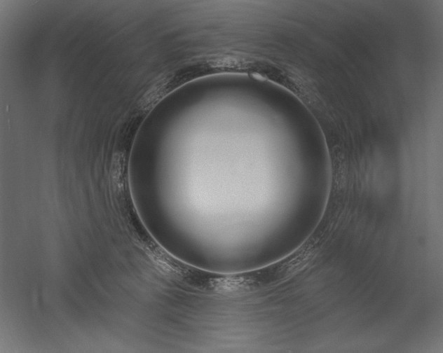 X0000051920273200507011607