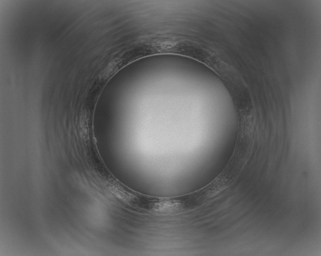 X0000051920274200507011607
