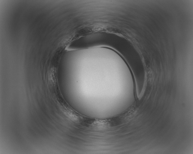 X0000051920280200507011608