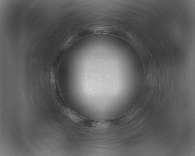 X0000051920282200507011608
