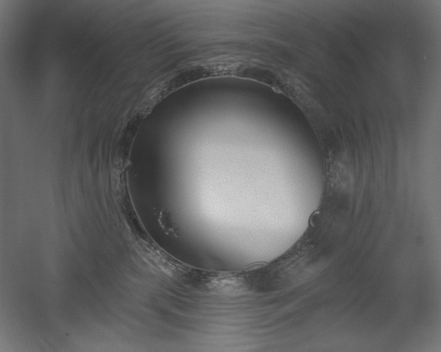 X0000051920283200507011608