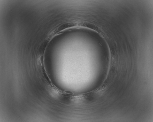 X0000051920286200507011608