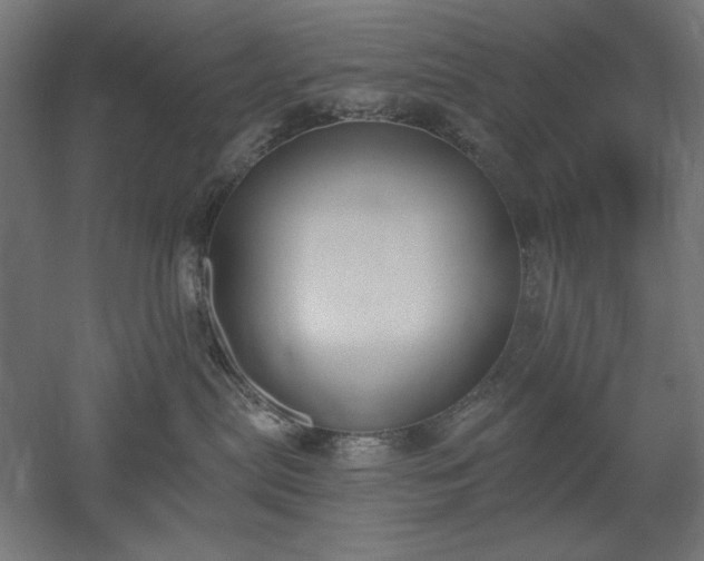 X0000051920287200507011608