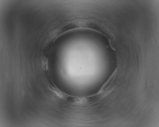 X0000051920288200507011608
