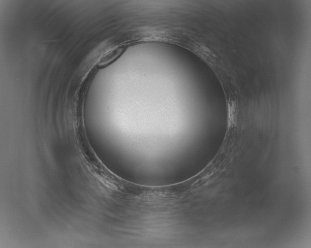 X0000051920291200507011607