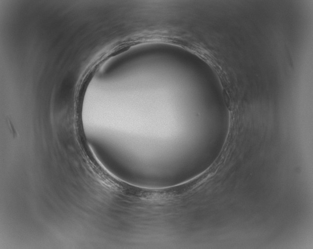 X0000051920293200507011607
