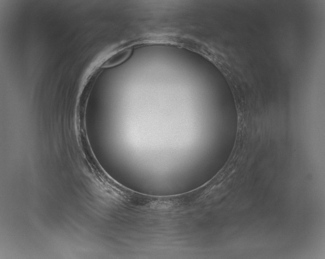 X0000051920294200507011607