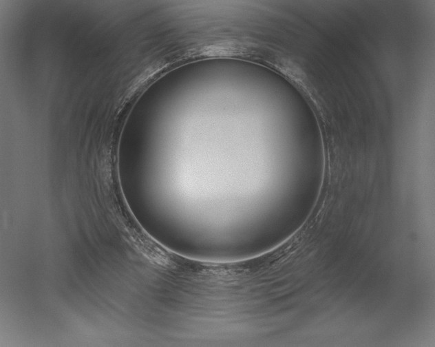 X0000051920297200507011607