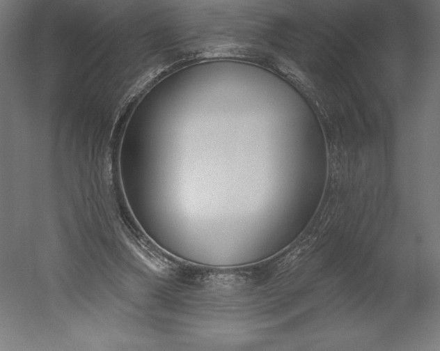 X0000051920298200507011607