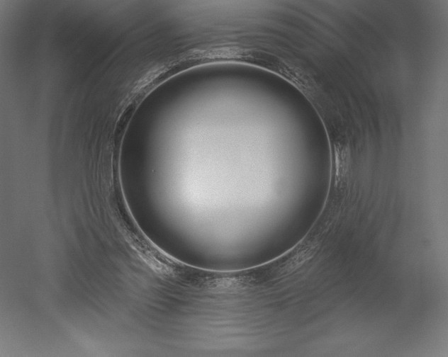 X0000051920301200507011607