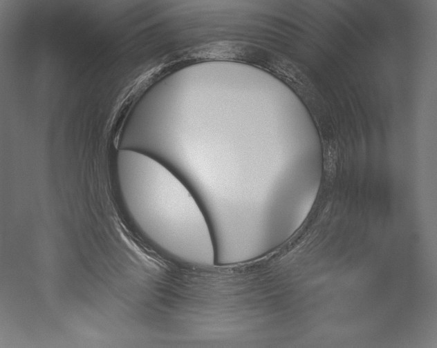 X0000051920302200507011607