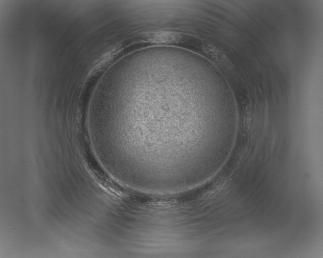 X0000051920303200507011607