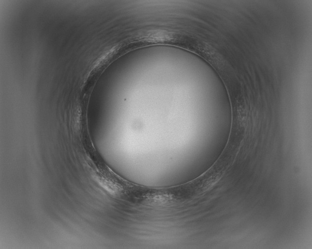 X0000051920304200507011607