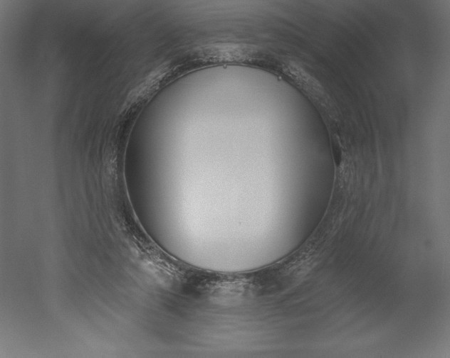 X0000051920306200507011607