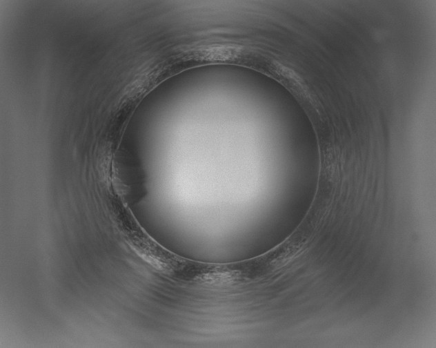X0000051920307200507011607