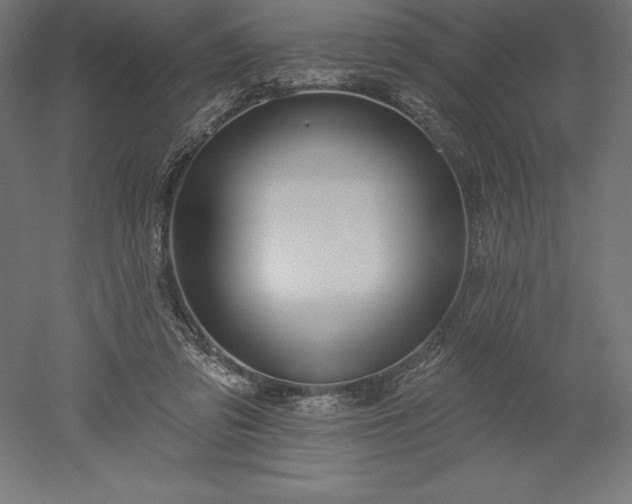 X0000051920309200507011607