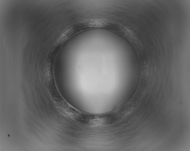 X0000051920312200507011607