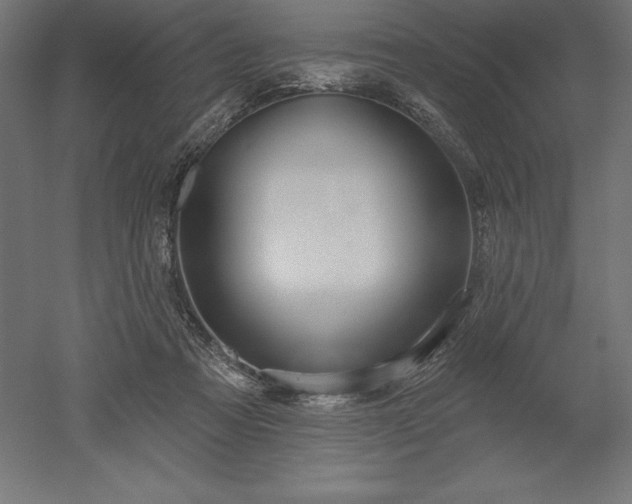 X0000051920313200507011606