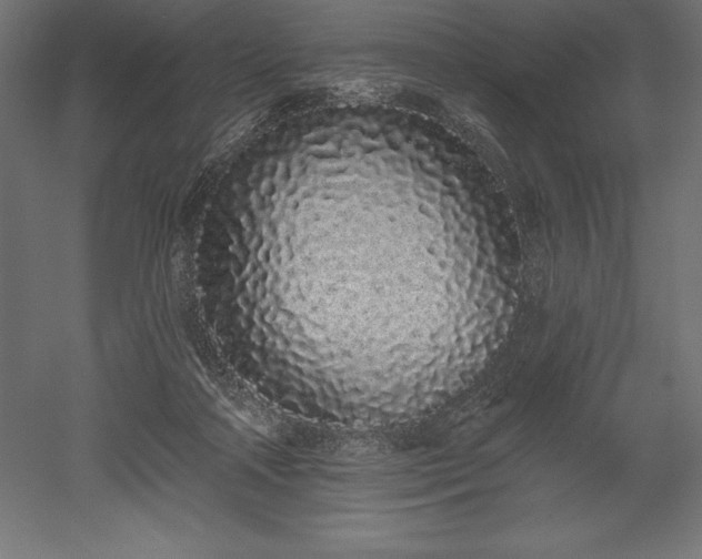 X0000051920314200507011606