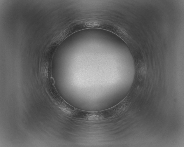 X0000051920315200507011606