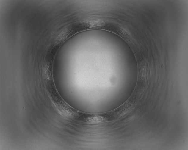 X0000051920316200507011606