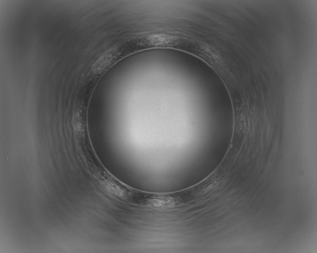 X0000051920317200507011606