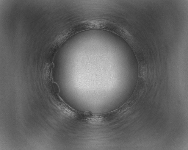 X0000051920318200507011606