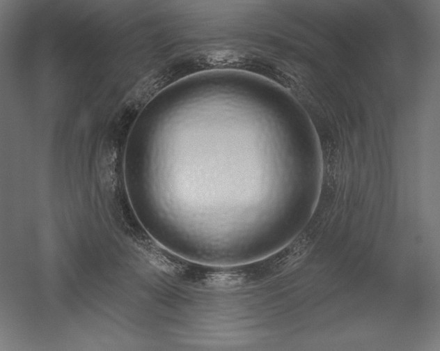 X0000051920319200507011606