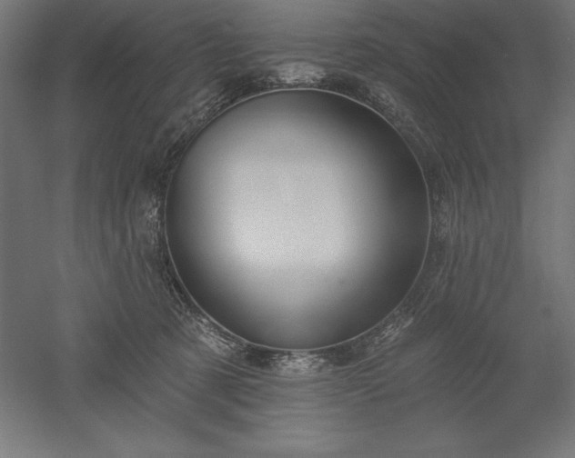 X0000051920321200507011606