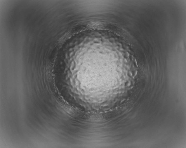 X0000051920322200507011606