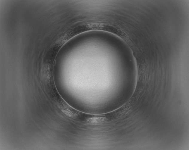 X0000051920323200507011606