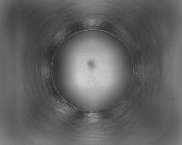 X0000051920324200507011606