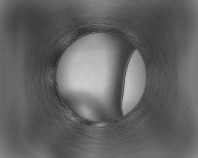 X0000051920325200507011606