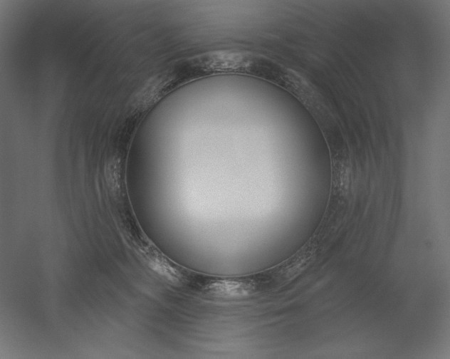 X0000051920326200507011606