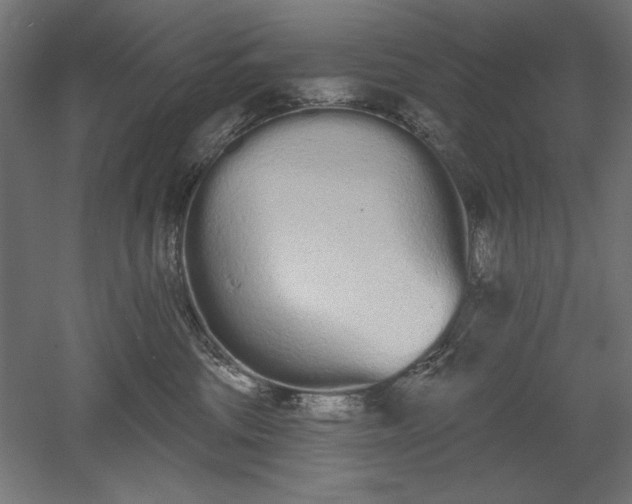 X0000051920330200507011606