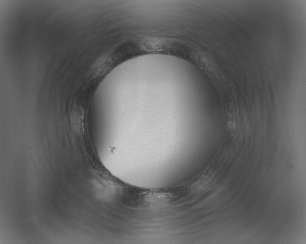 X0000051920332200507011606
