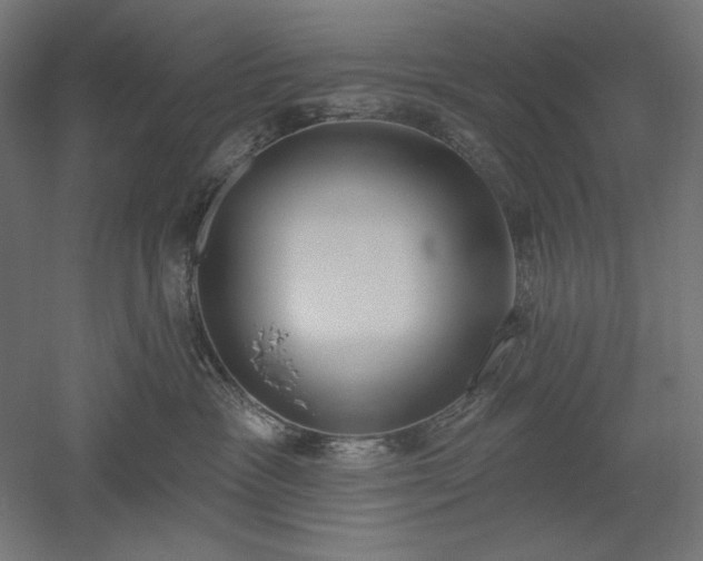 X0000051920333200507011606