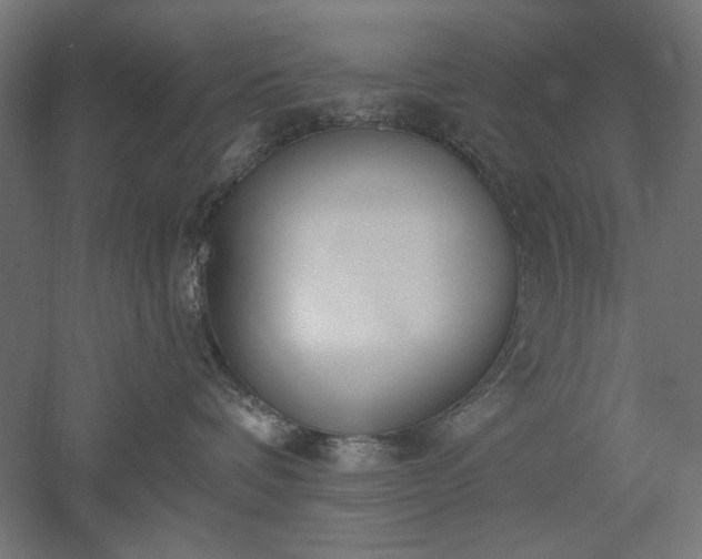 X0000051920336200507011606