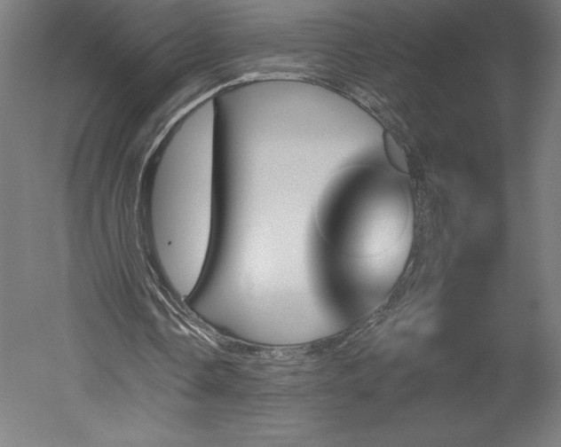 X0000051920338200507011605