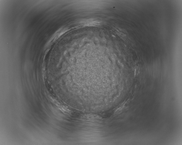 X0000051920339200507011605