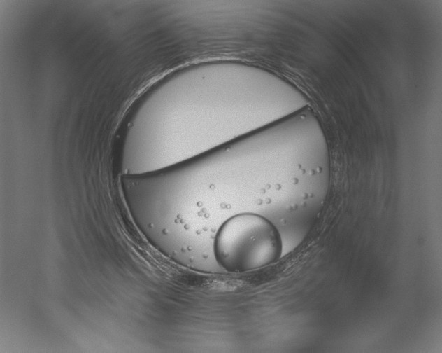 X0000051920346200507011605