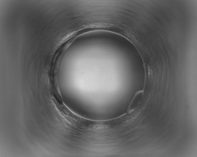 X0000051920348200507011605