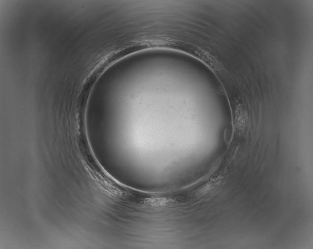 X0000051920351200507011606