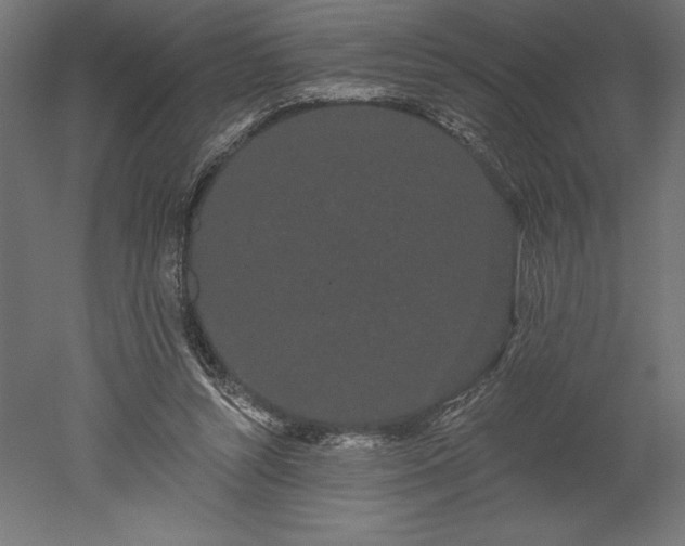 X0000051920352200507011606